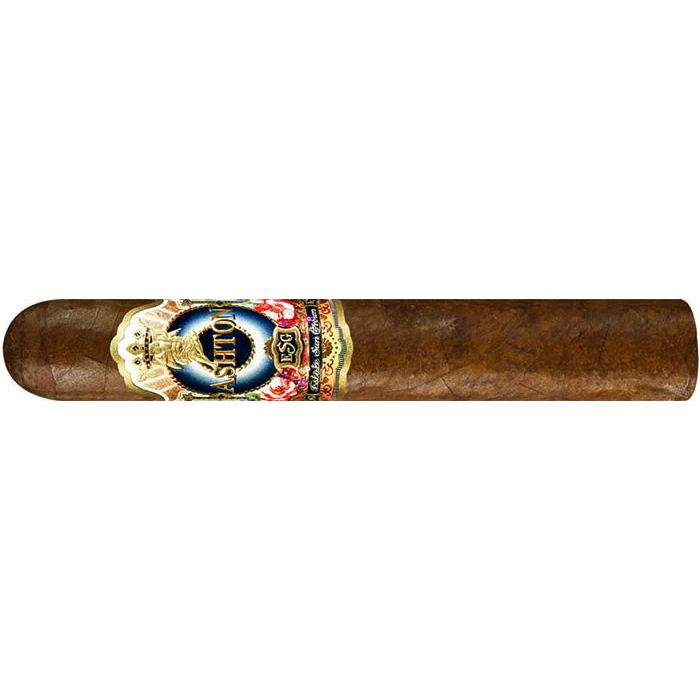 Ashton ESG 21 Year Robusto-25er