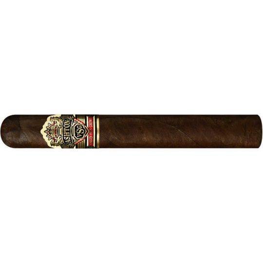 Ashton VSG Robusto-24er