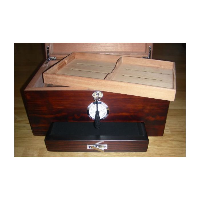 Humidor Pinewood 120 - Pinienholz