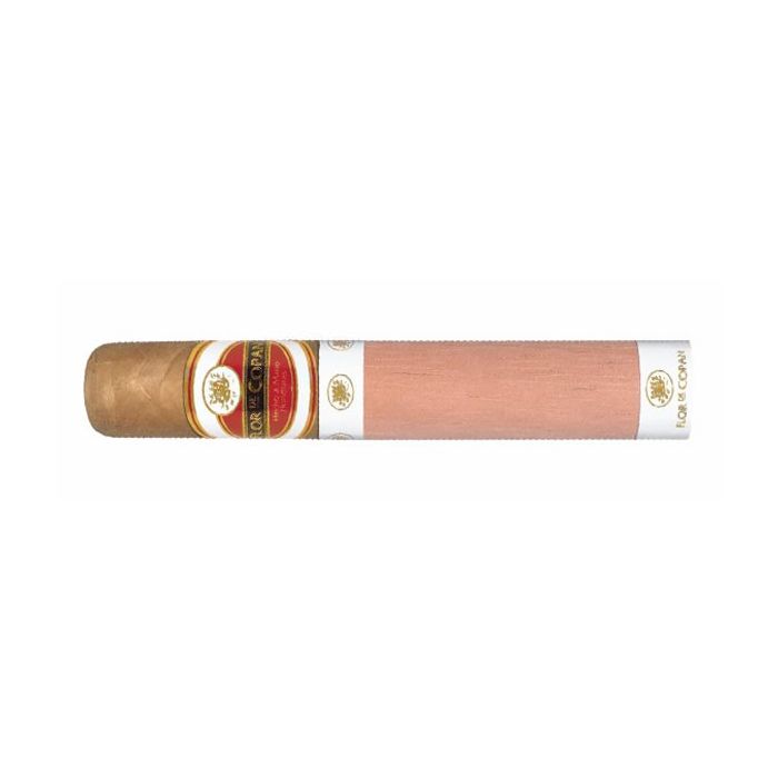 Flor de Copan Classic Titan-20er