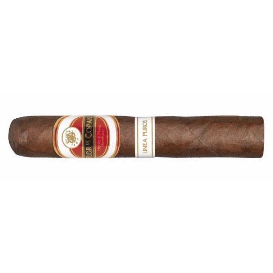 Flor de Copan LInea Puros Robusto-20er