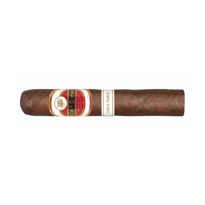 Flor de Copan LInea Puros Robusto-20er